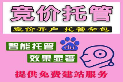 抖音广告投放成功案例：品牌如何崛起？